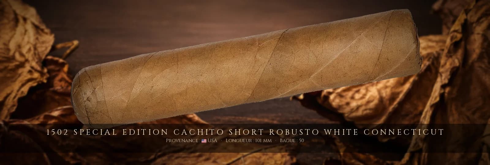 1502 Special Edition Cachito Short Robusto White Connecticut — 1502 — USA