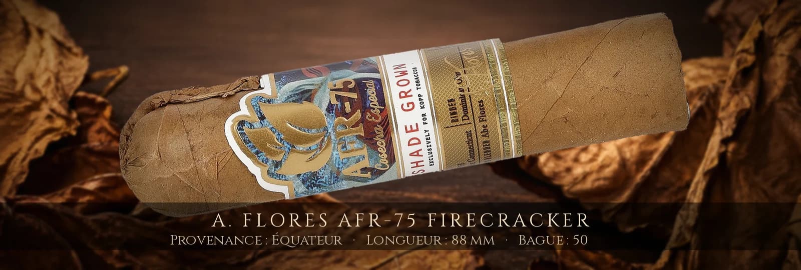 A. Flores AFR-75 Firecracker — A. Flores — Équateur
