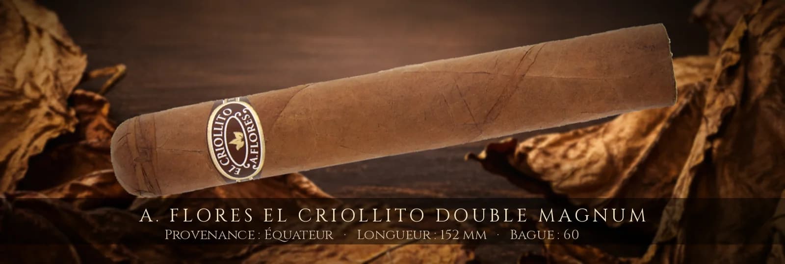 A. Flores El Criollito Double Magnum — A. Flores — Équateur