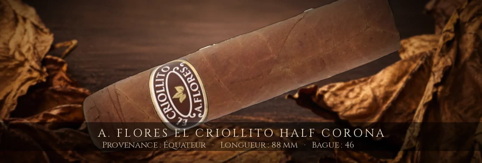A. Flores El Criollito Half Corona — A. Flores — Équateur