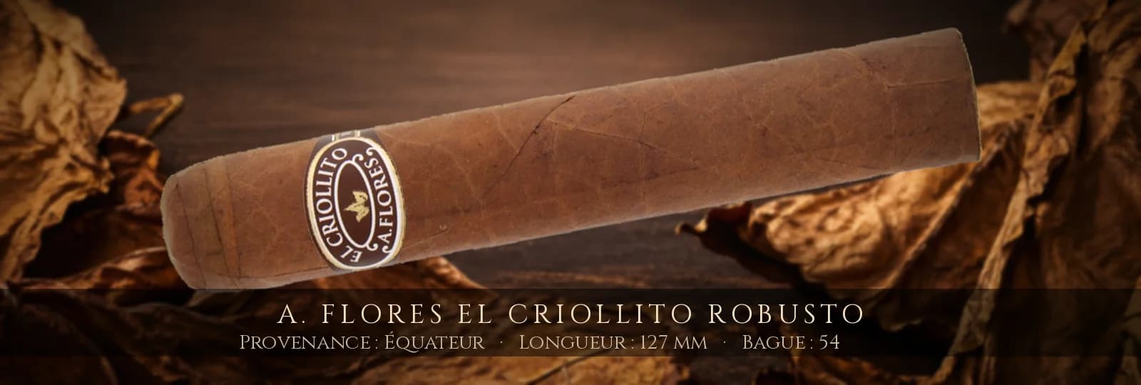 A. Flores El Criollito Robusto — A. Flores — Équateur