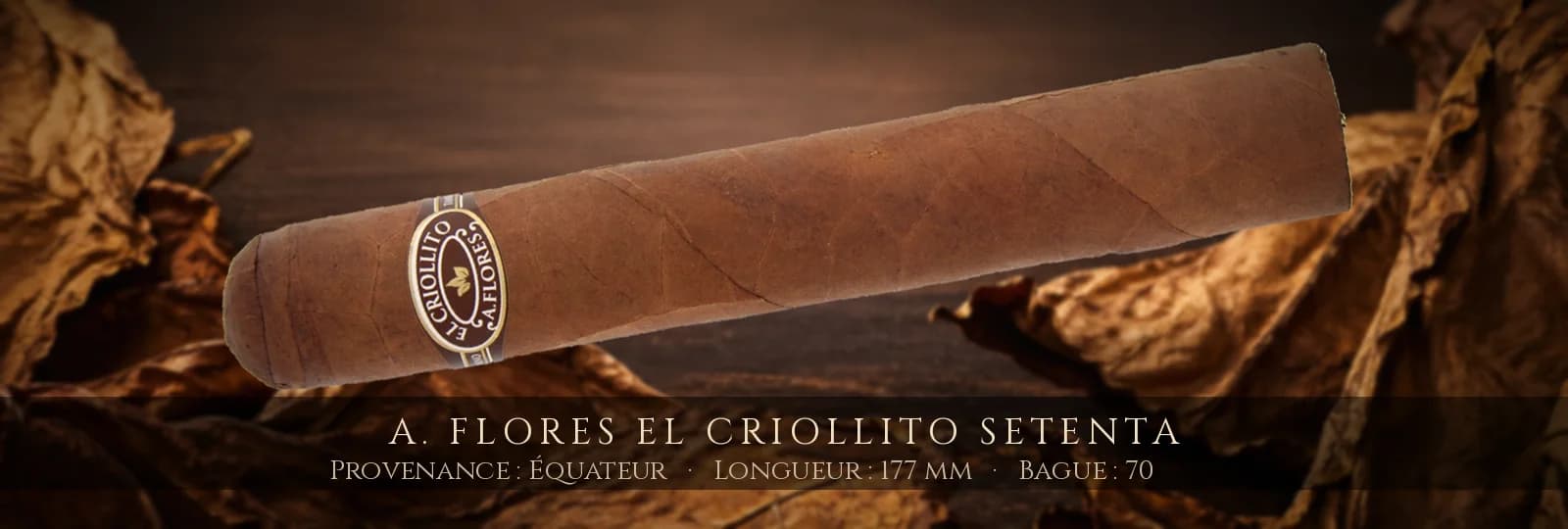 A. Flores El Criollito Setenta — A. Flores — Équateur