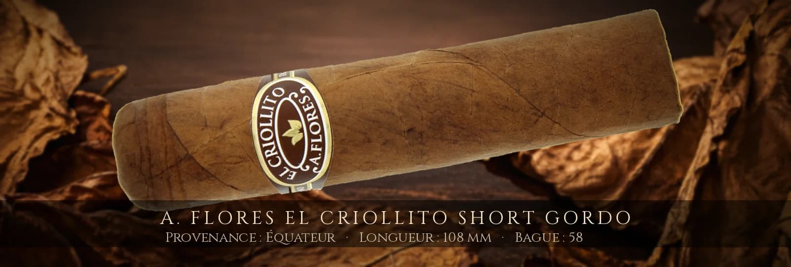 A. Flores El Criollito Short Gordo — A. Flores — Équateur