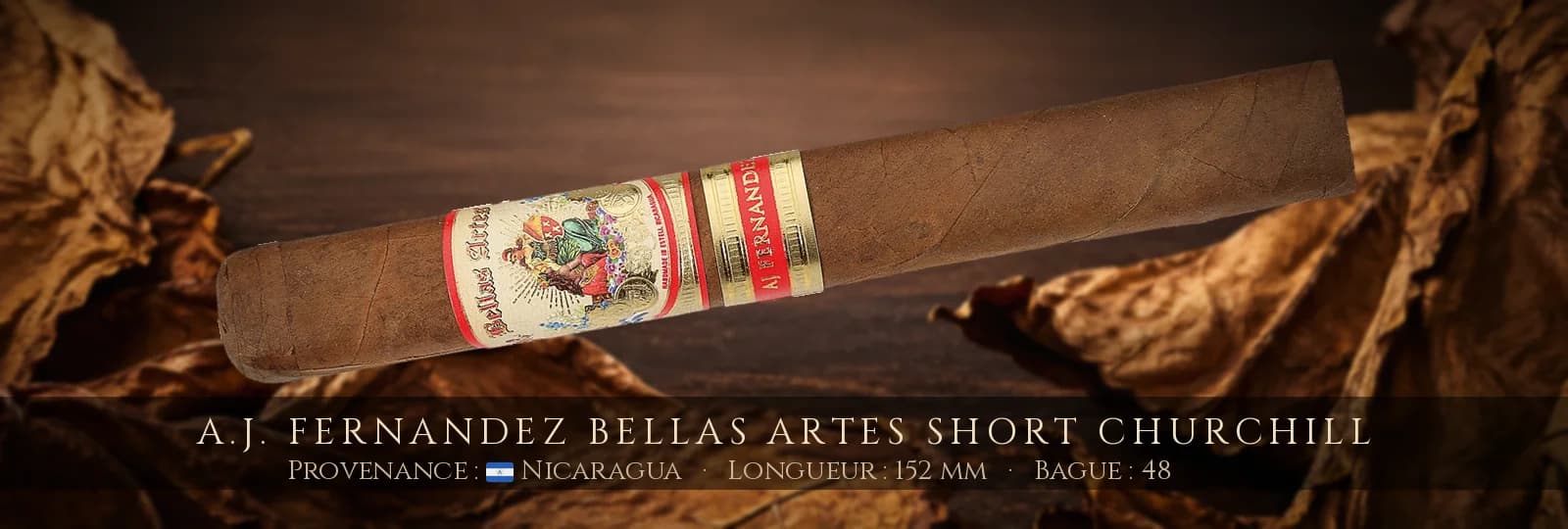 A.J. Fernandez Bellas Artes Short Churchill — A.J. Fernandez — Nicaragua