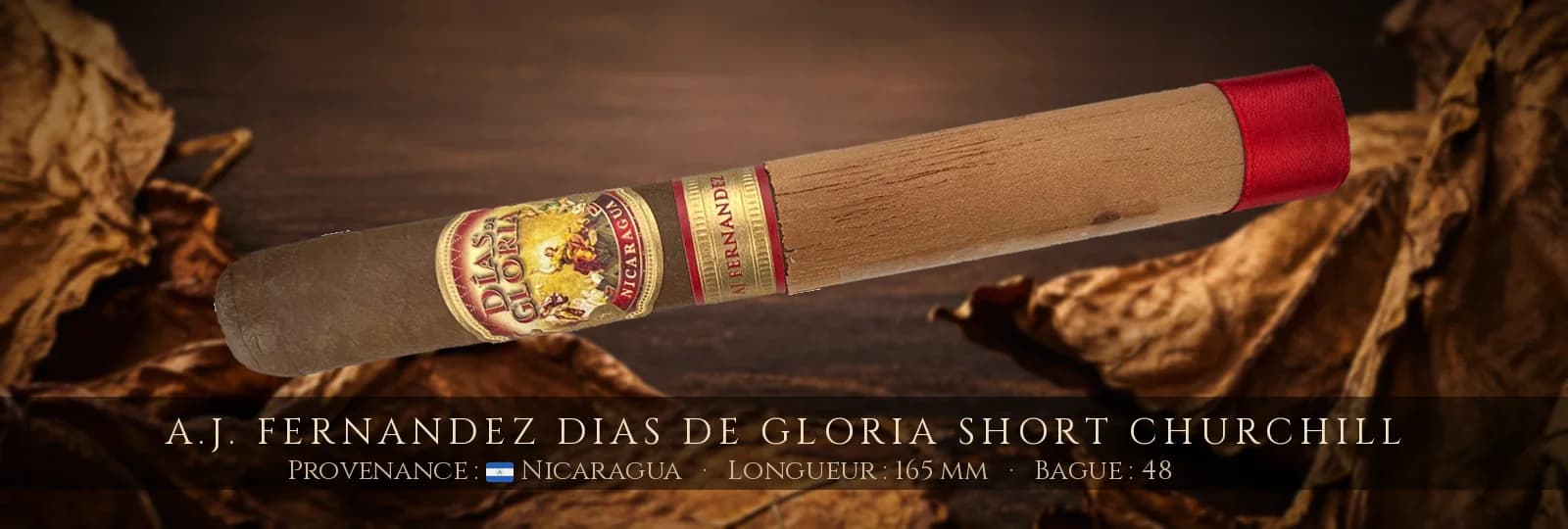 A.J. Fernandez Dias de Gloria Short Churchill — A.J. Fernandez — Nicaragua