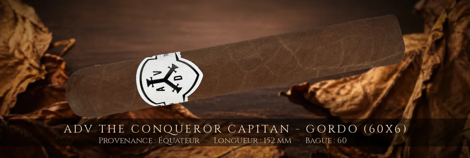 ADV The Conqueror Capitan - Gordo (60x6) — ADV — Équateur