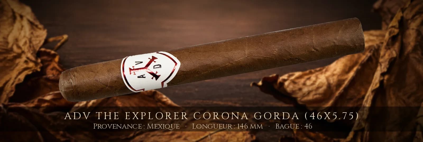 ADV The Explorer Corona Gorda (46x5.75) — ADV — Mexique