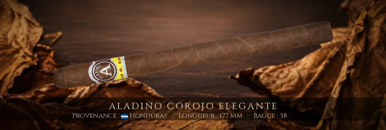 Aladino Corojo Elegante — Aladino — Honduras