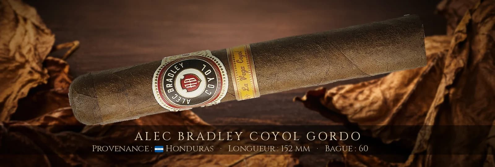 Alec Bradley Coyol Gordo — Alec Bradley — Honduras