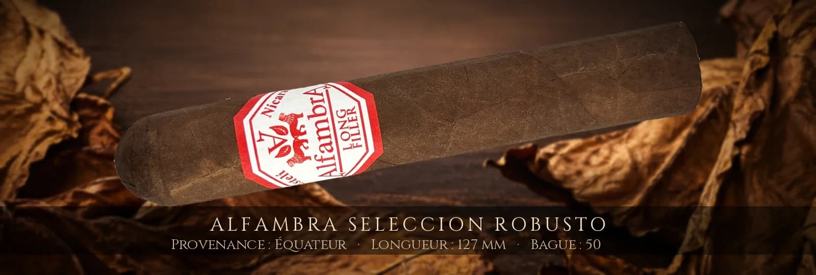 Alfambra Seleccion Robusto — Alfambra — Équateur