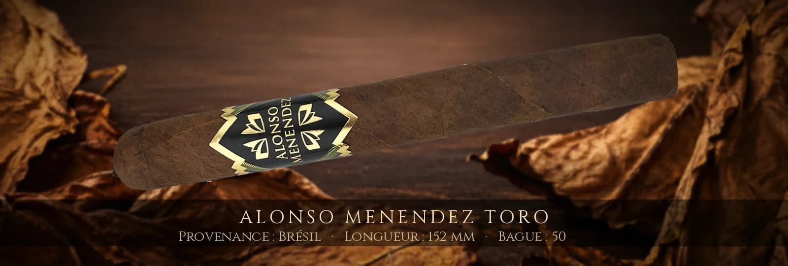 Alonso Menendez Toro — Alonso Menendez — Brésil
