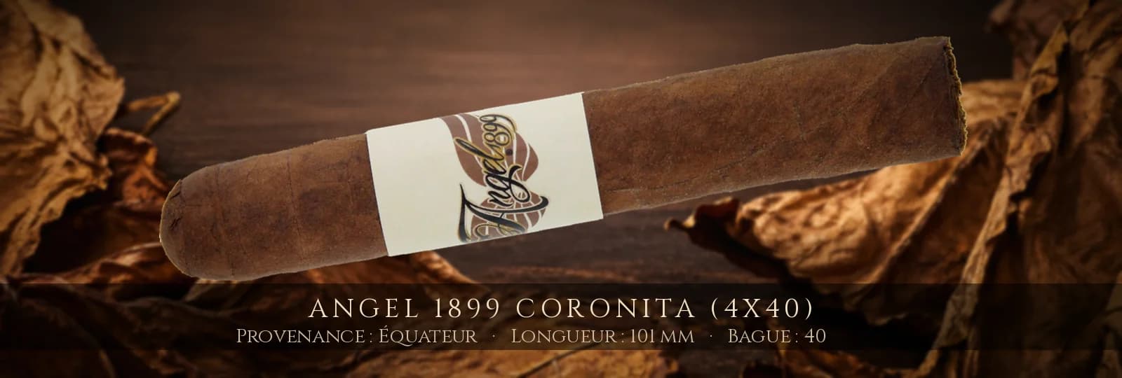 Angel 1899 Coronita (4x40) — Angel — Équateur