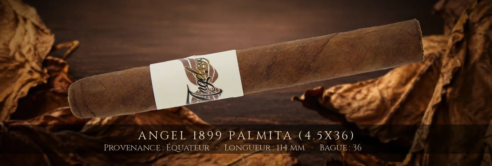 Angel 1899 Palmita (4.5x36) — Angel — Équateur