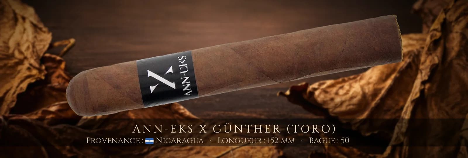 Ann-Eks X Günther (Toro) — Ann-Eks — Nicaragua