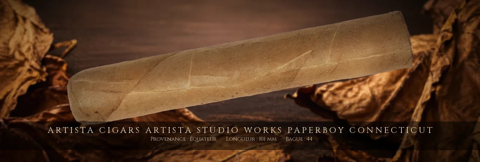 Artista Cigars Artista Studio Works Paperboy Connecticut — Artista Cigars — Équateur