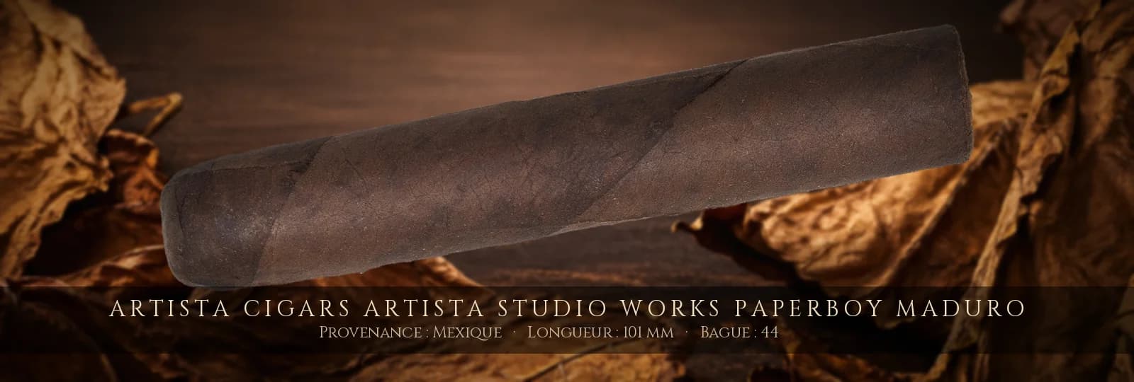 Artista Cigars Artista Studio Works Paperboy Maduro — Artista Cigars — Mexique