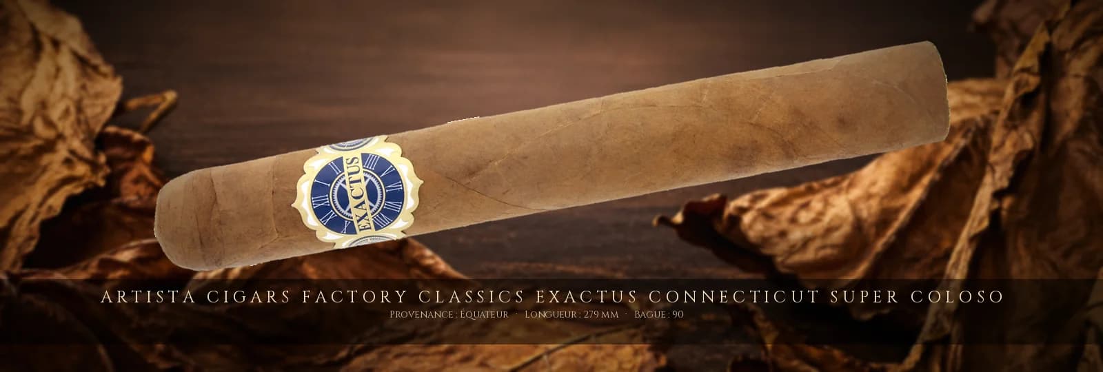 Artista Cigars Factory Classics Exactus Connecticut Super Coloso — Artista Cigars — Équateur