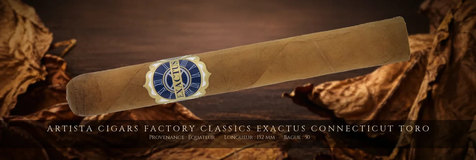 Artista Cigars Factory Classics Exactus Connecticut Toro — Artista Cigars — Équateur