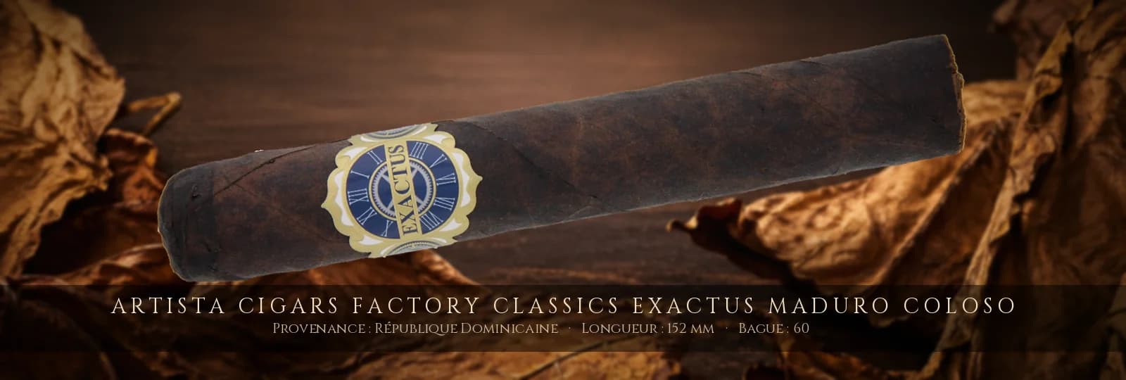 Artista Cigars Factory Classics Exactus Maduro Coloso — Artista Cigars — République Dominicaine