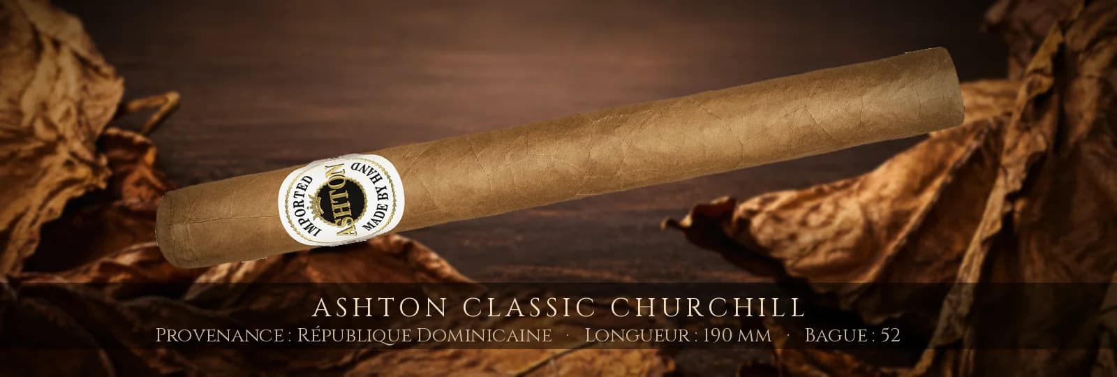 Ashton Classic Churchill — Ashton — République Dominicaine