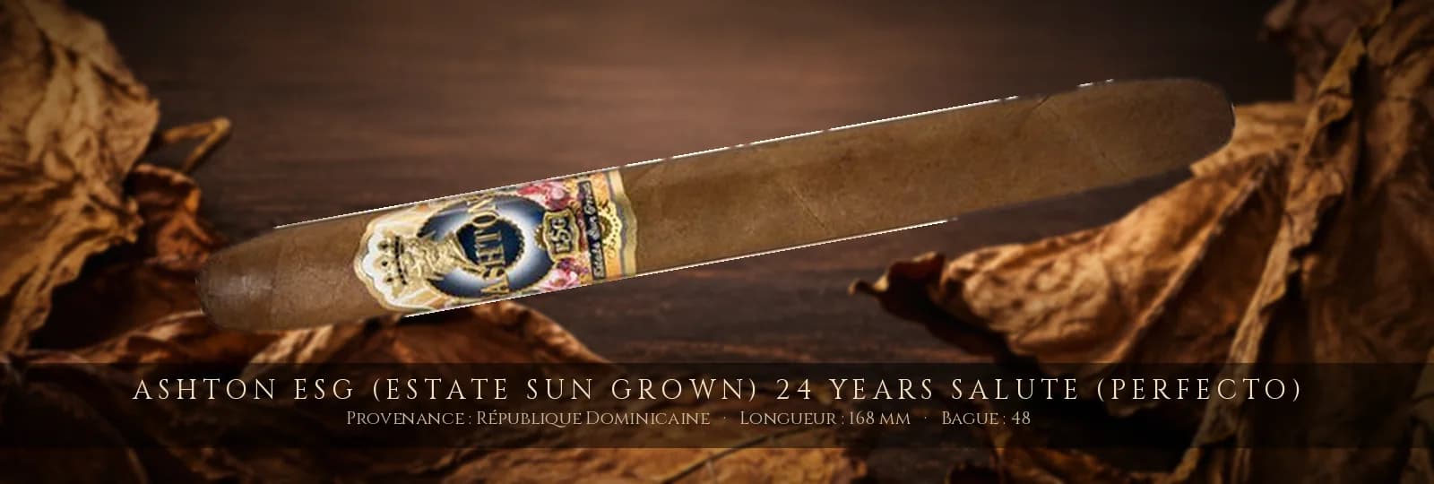 Ashton ESG (Estate Sun Grown) 24 Years Salute (Perfecto) — Ashton — République Dominicaine
