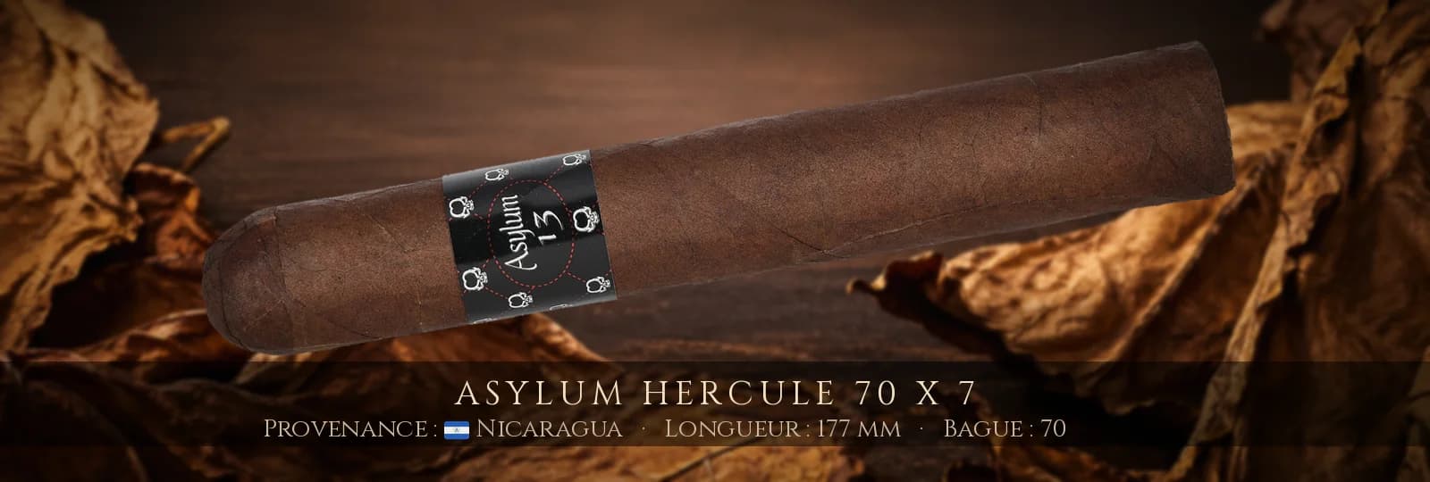 Asylum Hercule 70 x 7 — Asylum — Nicaragua