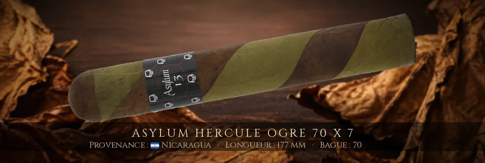 Asylum Hercule Ogre 70 x 7 — Asylum — Nicaragua