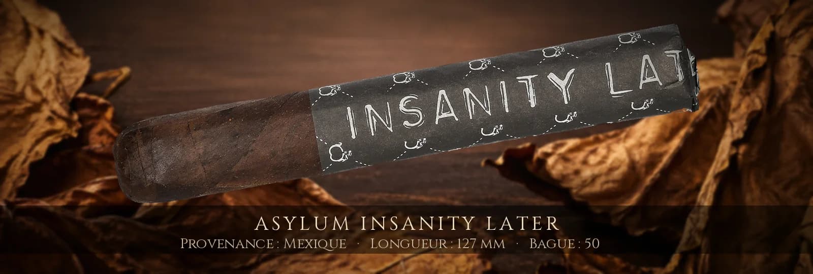Asylum Insanity Later — Asylum — Mexique