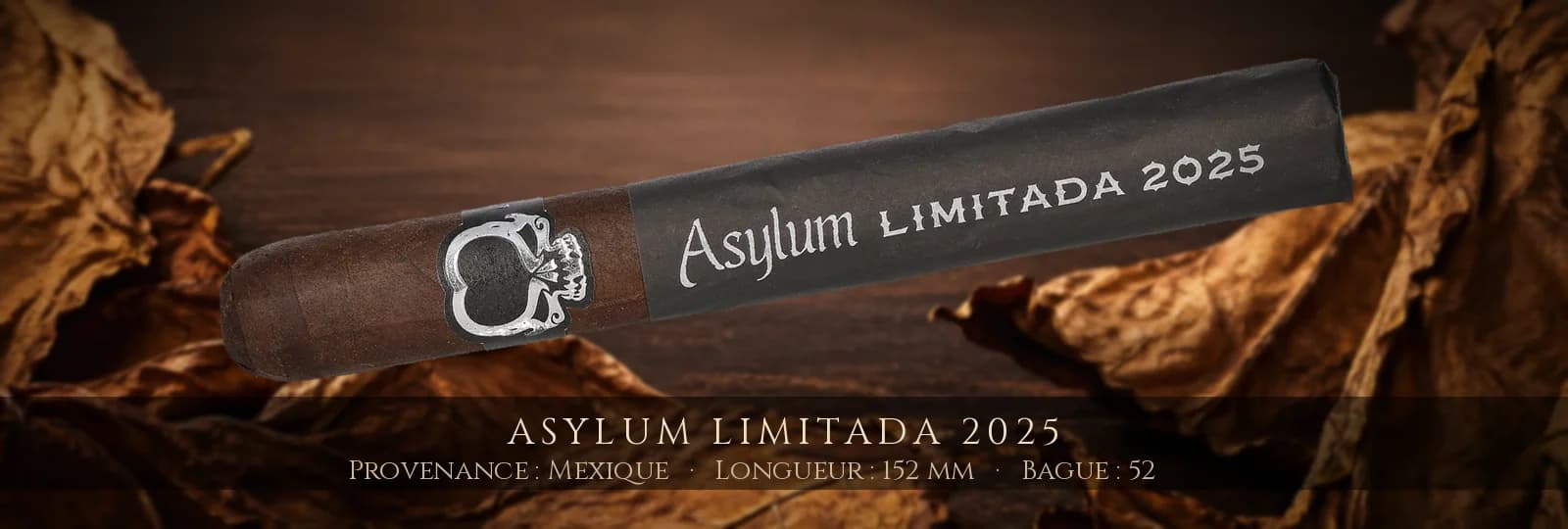Asylum Limitada 2025 — Asylum — Mexique