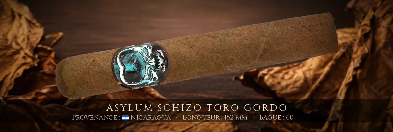 Asylum Schizo Toro Gordo — Asylum — Nicaragua