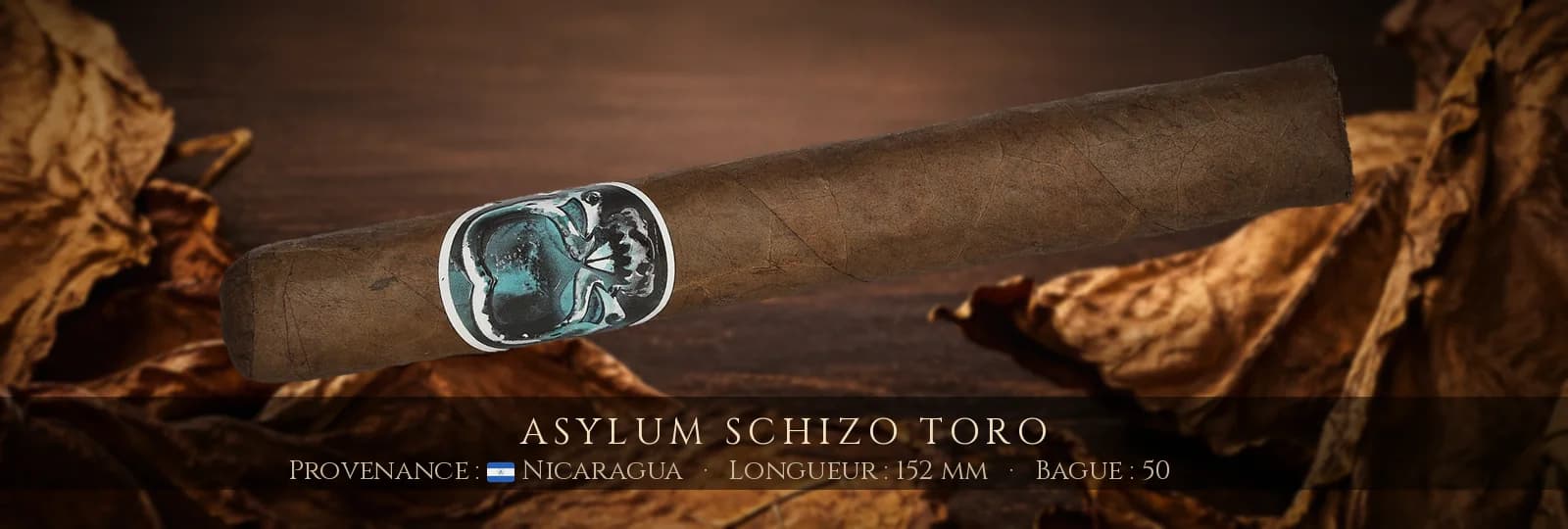 Asylum Schizo Toro — Asylum — Nicaragua