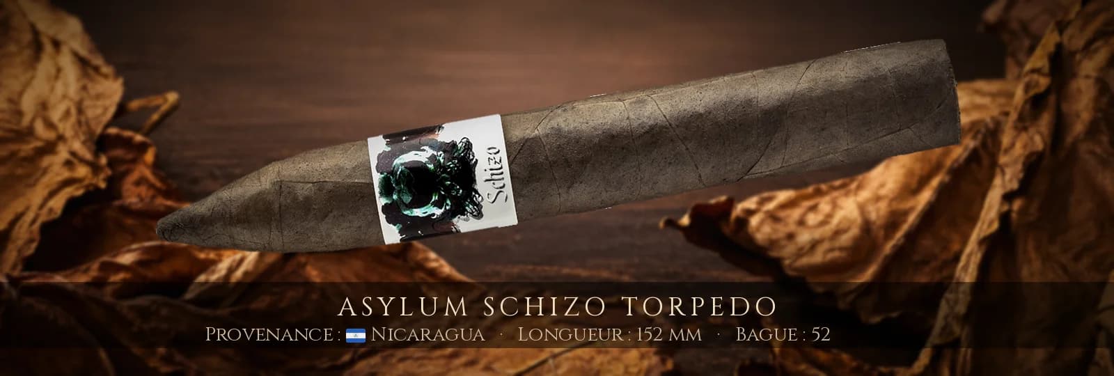 Asylum Schizo Torpedo — Asylum — Nicaragua