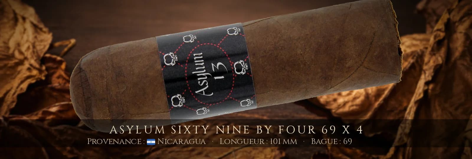 Asylum Sixty Nine by Four 69 x 4 — Asylum — Nicaragua
