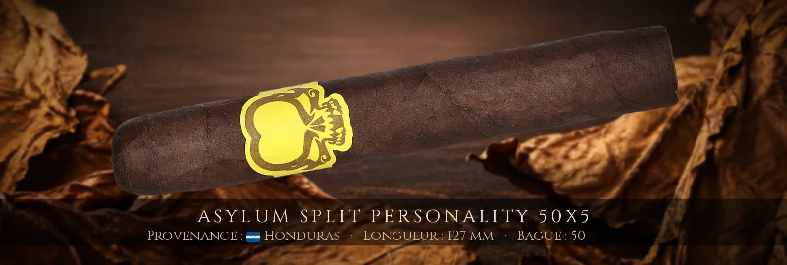 Asylum Split Personality 50x5 — Asylum — Honduras