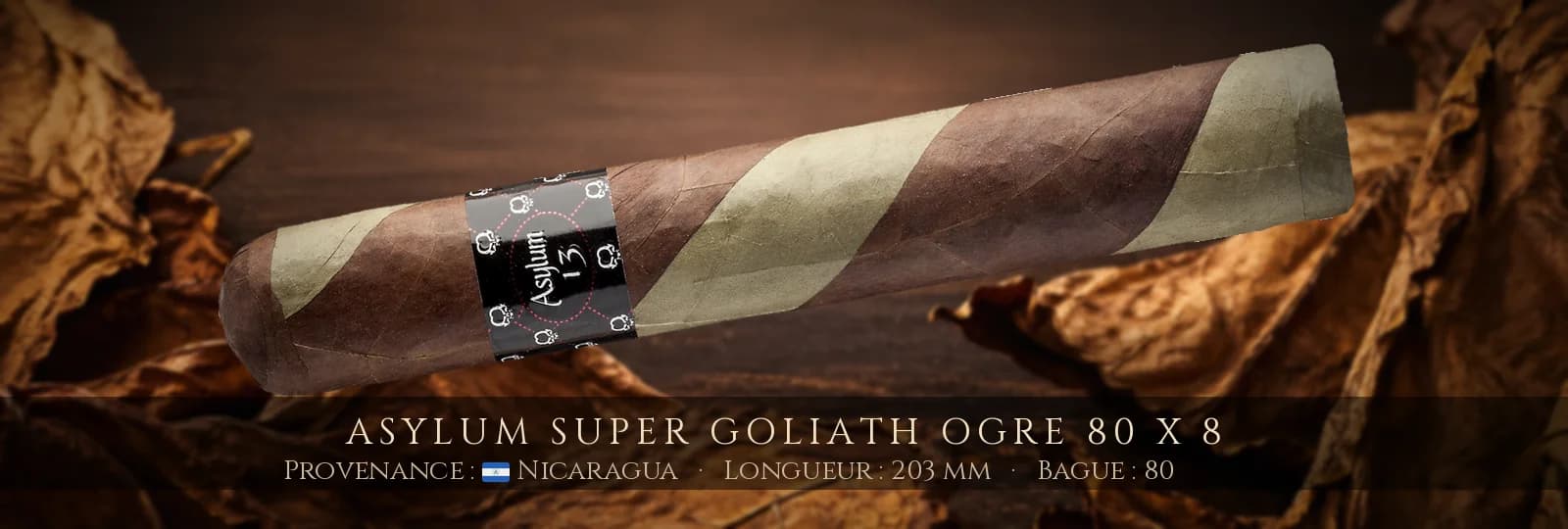 Asylum Super Goliath Ogre 80 x 8 — Asylum — Nicaragua