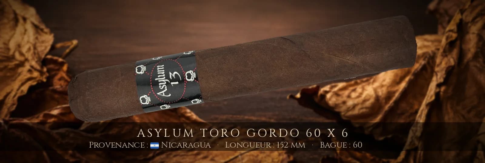 Asylum Toro Gordo 60 x 6 — Asylum — Nicaragua