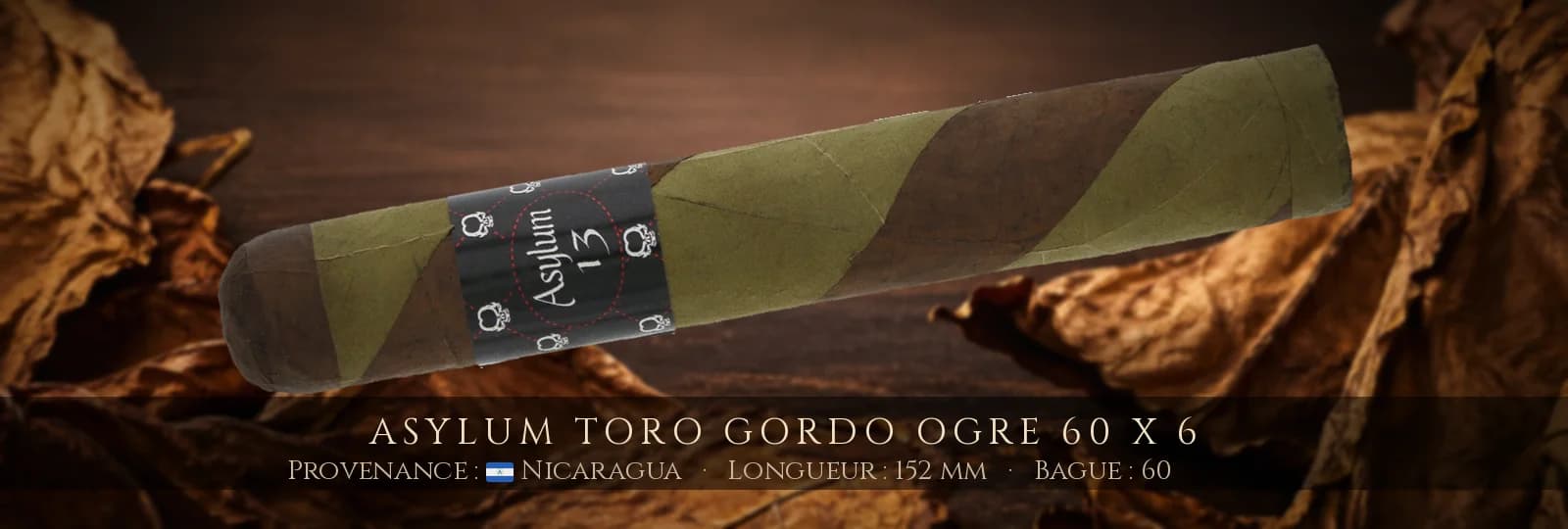 Asylum Toro Gordo Ogre 60 x 6 — Asylum — Nicaragua