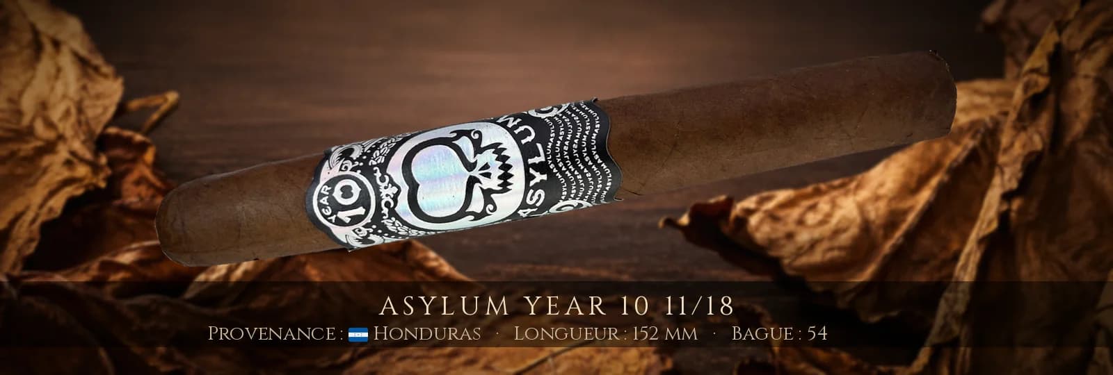 Asylum Year 10 11/18 — Asylum — Honduras