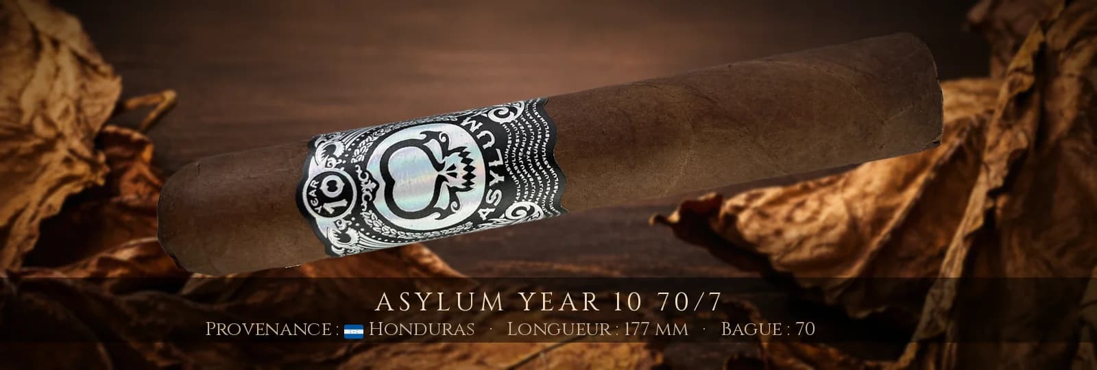 Asylum Year 10 70/7 — Asylum — Honduras