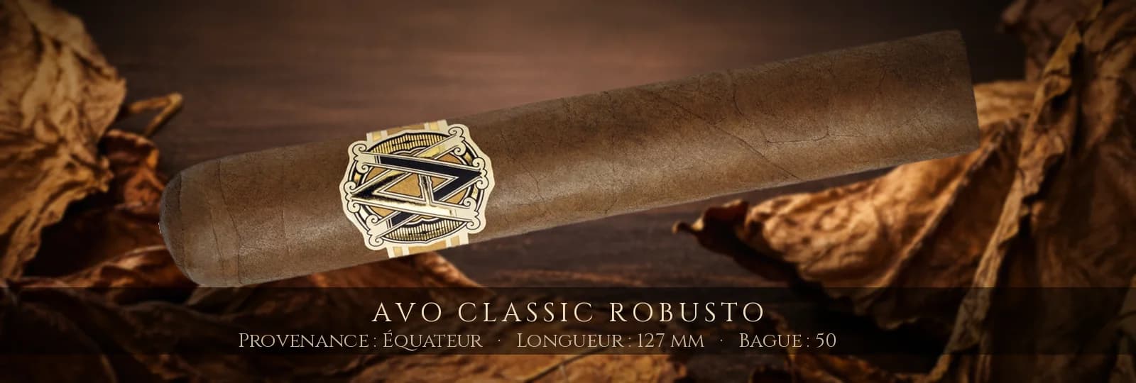 AVO Classic Robusto — AVO — Équateur