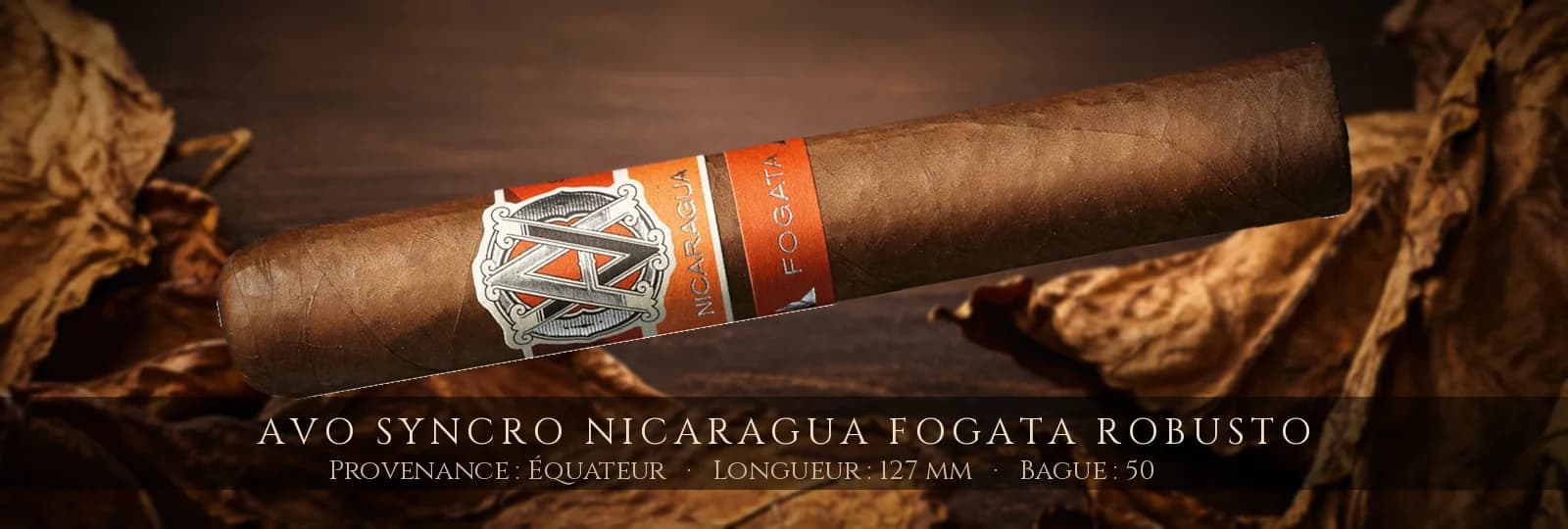 AVO Syncro Nicaragua Fogata Robusto — AVO — Équateur