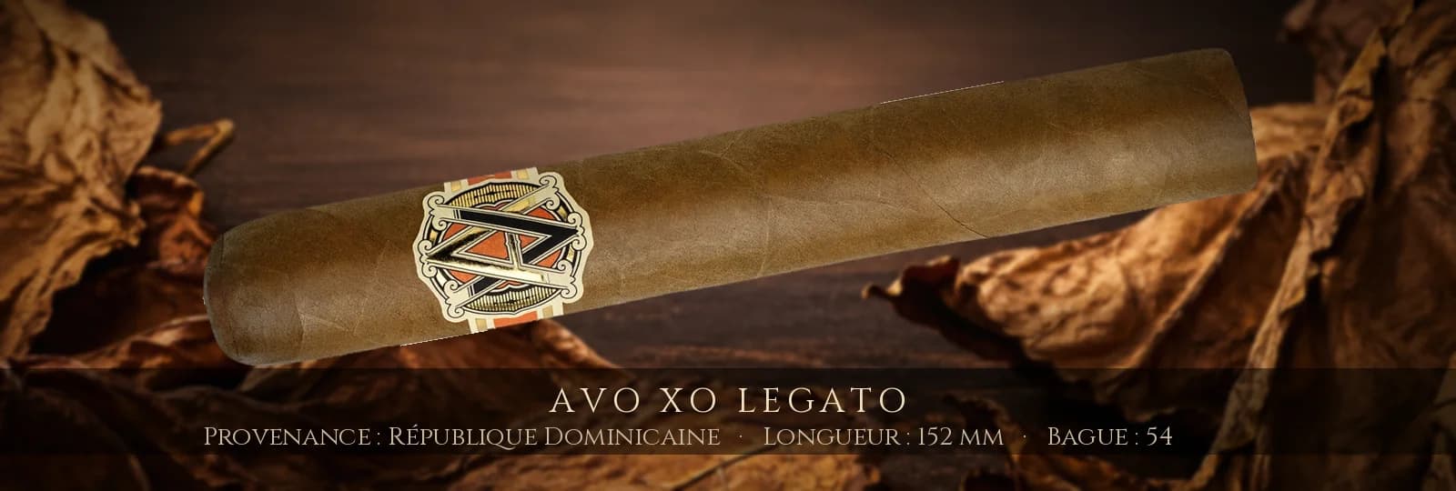 AVO XO Legato — AVO — République Dominicaine