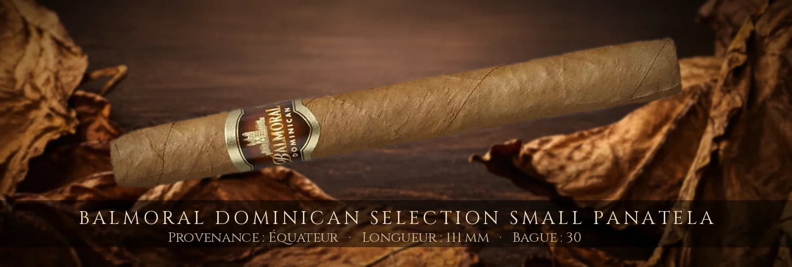Balmoral Dominican Selection SMALL Panatela — Balmoral — Équateur