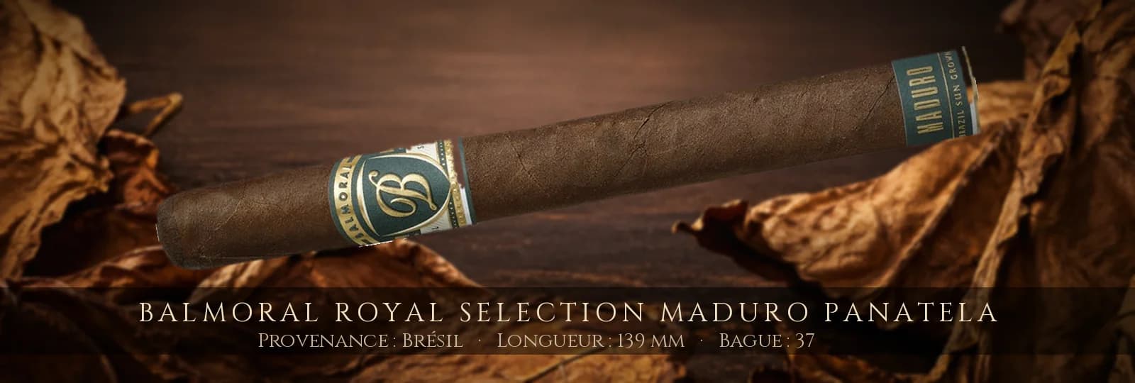 Balmoral Royal Selection Maduro Panatela — Balmoral — Brésil