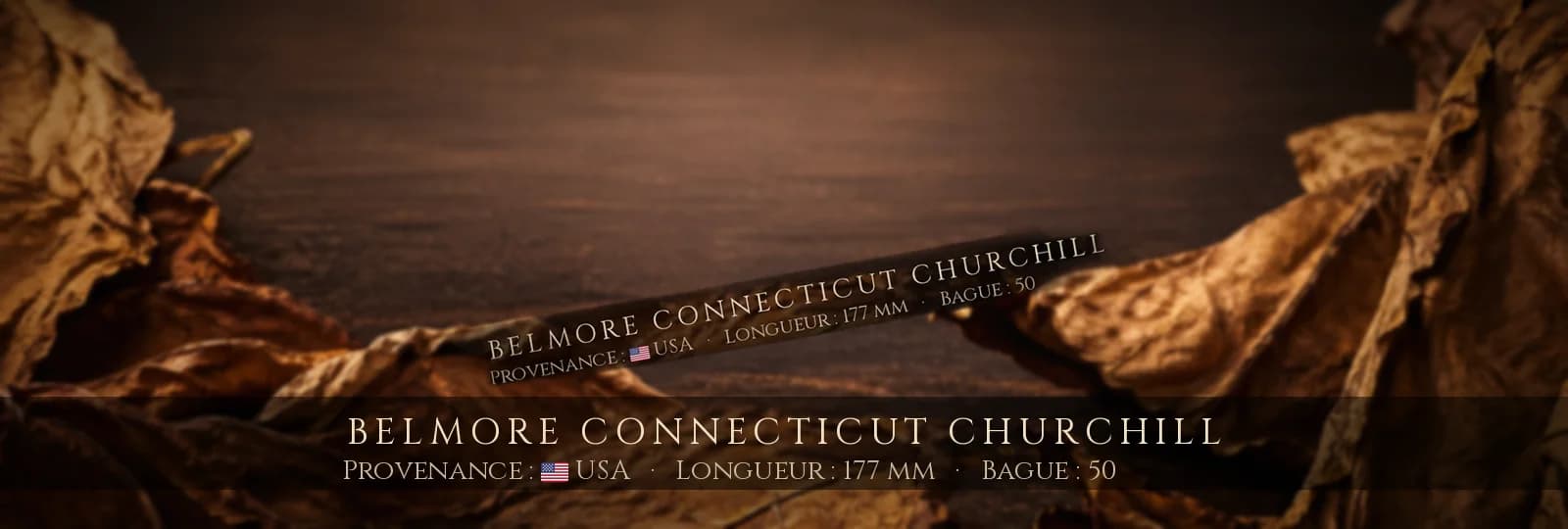 Belmore Connecticut Churchill — Belmore — USA