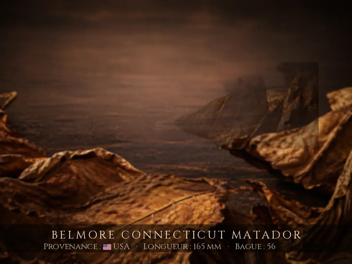 Belmore Connecticut Matador — Belmore — USA