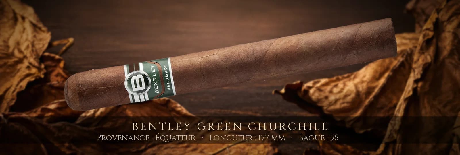Bentley Green Churchill — Bentley — Équateur