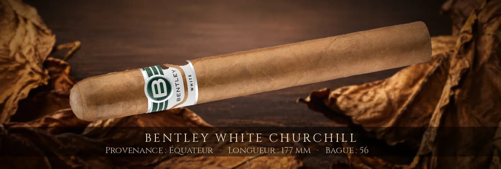 Bentley White Churchill — Bentley — Équateur