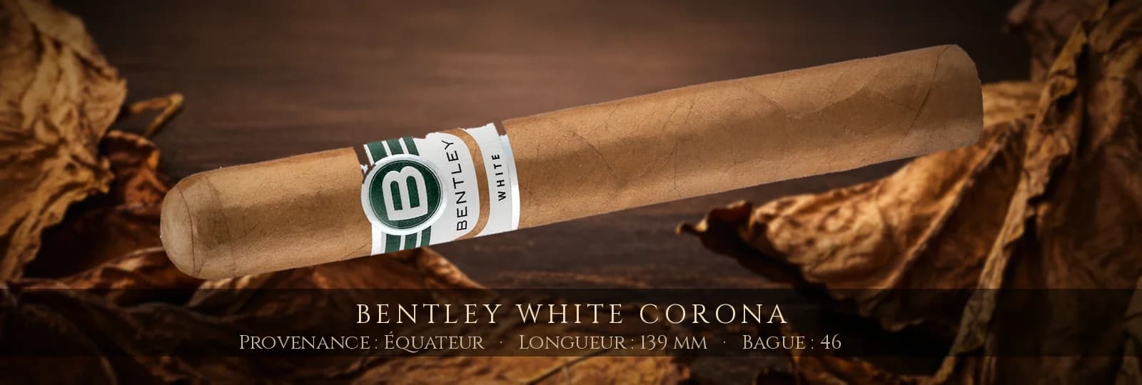 Bentley White Corona — Bentley — Équateur