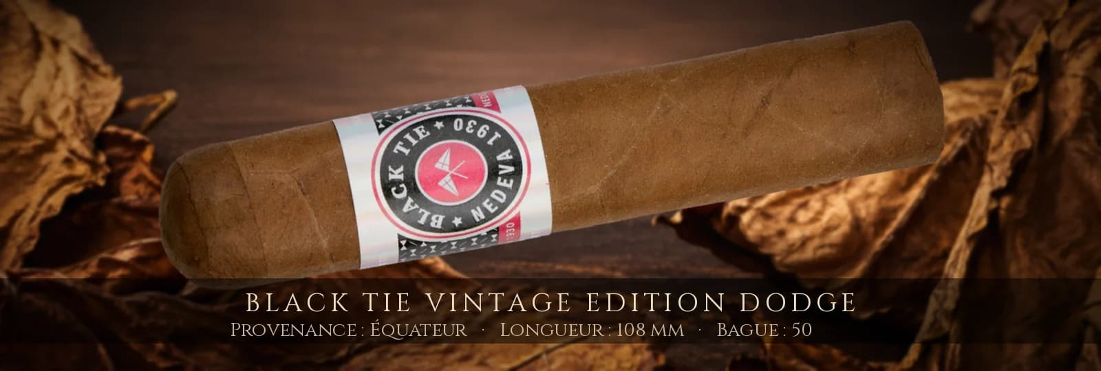 Black Tie Vintage Edition Dodge — Black Tie — Équateur